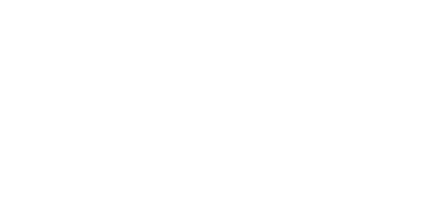 SILVA FLORES